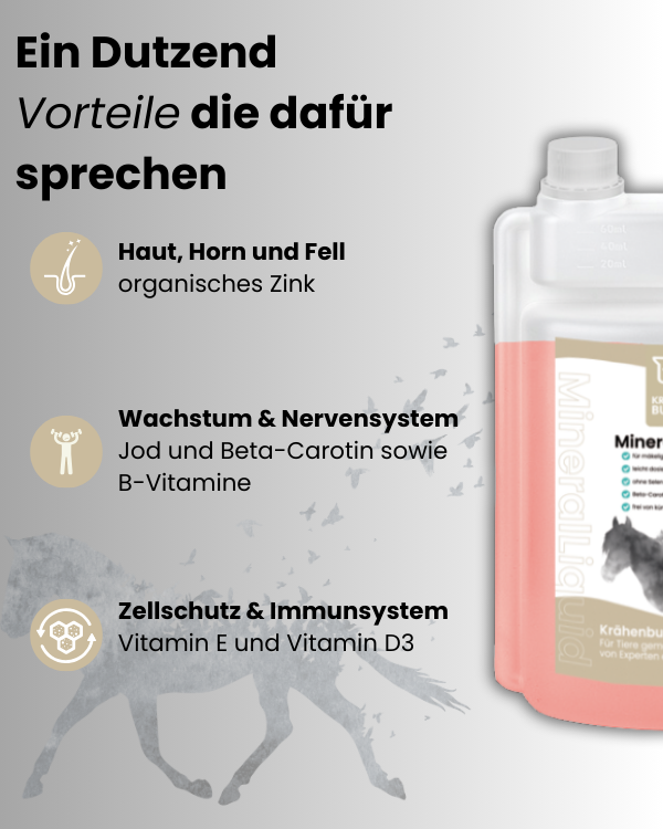 Krähenbusch MineralLiquid Leicht Dosierbar Für Mäkelige Pferde Beta Carotin Vorstufe Vitamin A Selenfrei Farbstofffrei