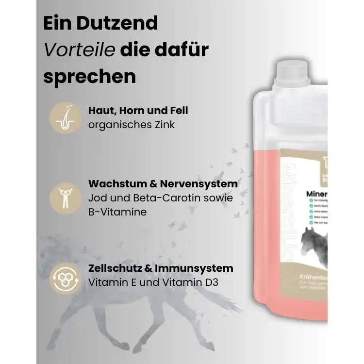 Krähenbusch MineralLiquid Leicht Dosierbar Für Mäkelige Pferde Beta Carotin Vorstufe Vitamin A Selenfrei Farbstofffrei by Krähenbusch®
