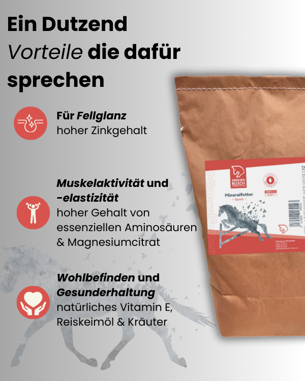 Krähenbusch Mineralfutter Sport Für Sportpferde Mineral Und Vitamin Versorgung Mit Hoch Bioverfügbarem Vitamin E