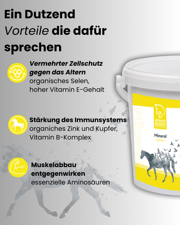 Krähenbusch Mineral Senior Für Ältere Pferde Reich An Aminosäuren Und Proteinen Aus Erbseneiweiß Zink Und Vitamin E