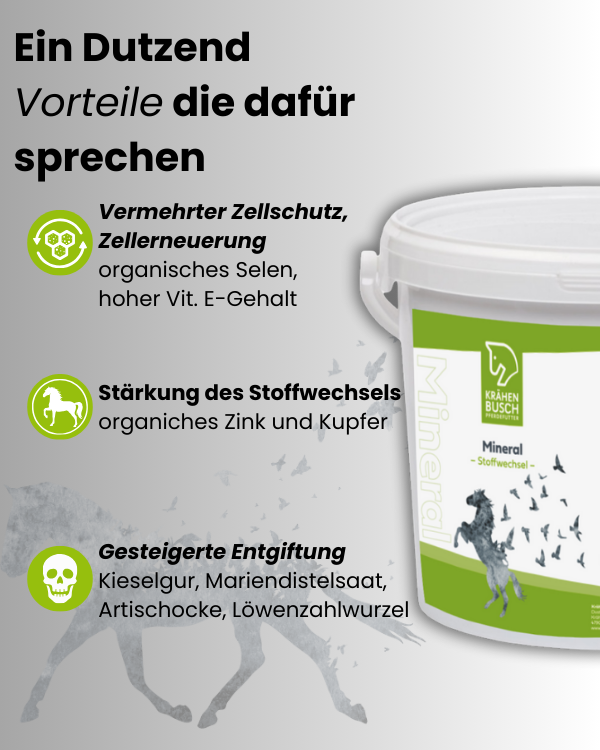 Krähenbusch Mineral Stoffwechsel Für Pferde Mit Beeinträchtigtem Stoffwechsel Cushing Hufrehe Organisches Zink Vitamin E