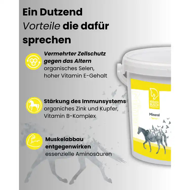 Krähenbusch Mineral Senior Für Ältere Pferde Reich An Aminosäuren Und Proteinen Aus Erbseneiweiß Zink Und Vitamin E by Krähenbusch®