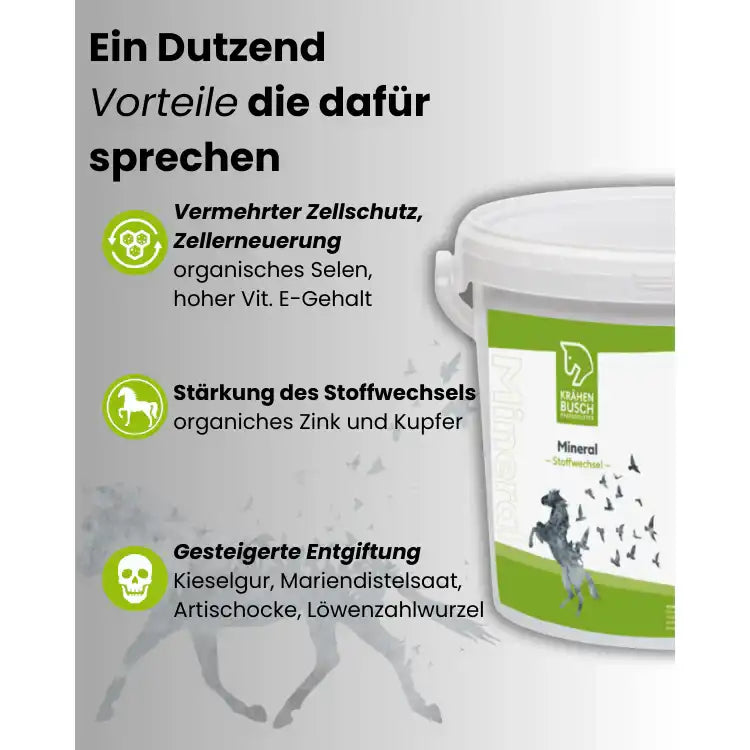 Krähenbusch Mineral Stoffwechsel Für Pferde Mit Beeinträchtigtem Stoffwechsel Cushing Hufrehe Organisches Zink Vitamin E by Krähenbusch®