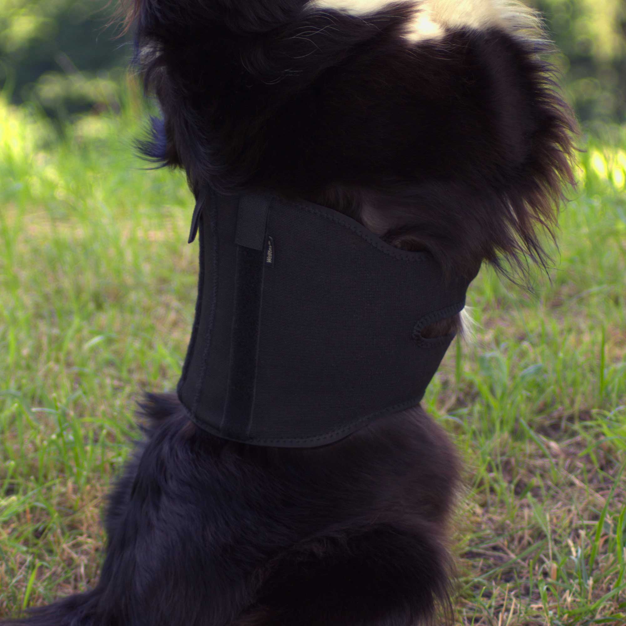 Hunde-Rückenschoner