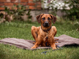 SABRO Outdoormatte SKOLAN für Hunde