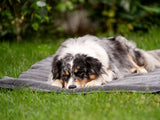 SABRO Outdoormatte SKOLAN für Hunde