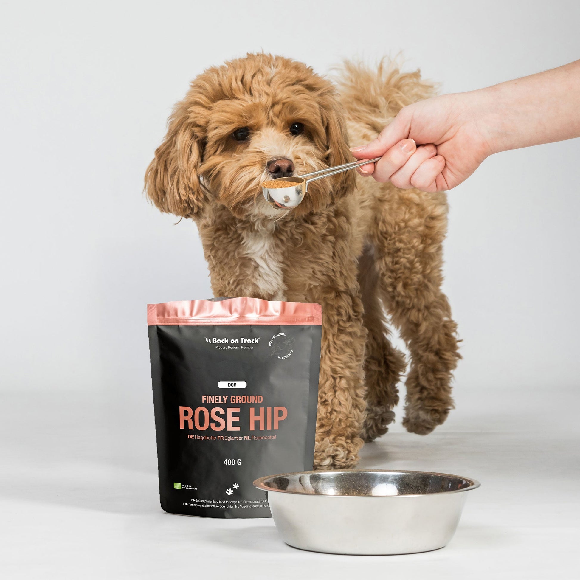 Fein Gemahlenes Hagebuttenpulver Für Hunde