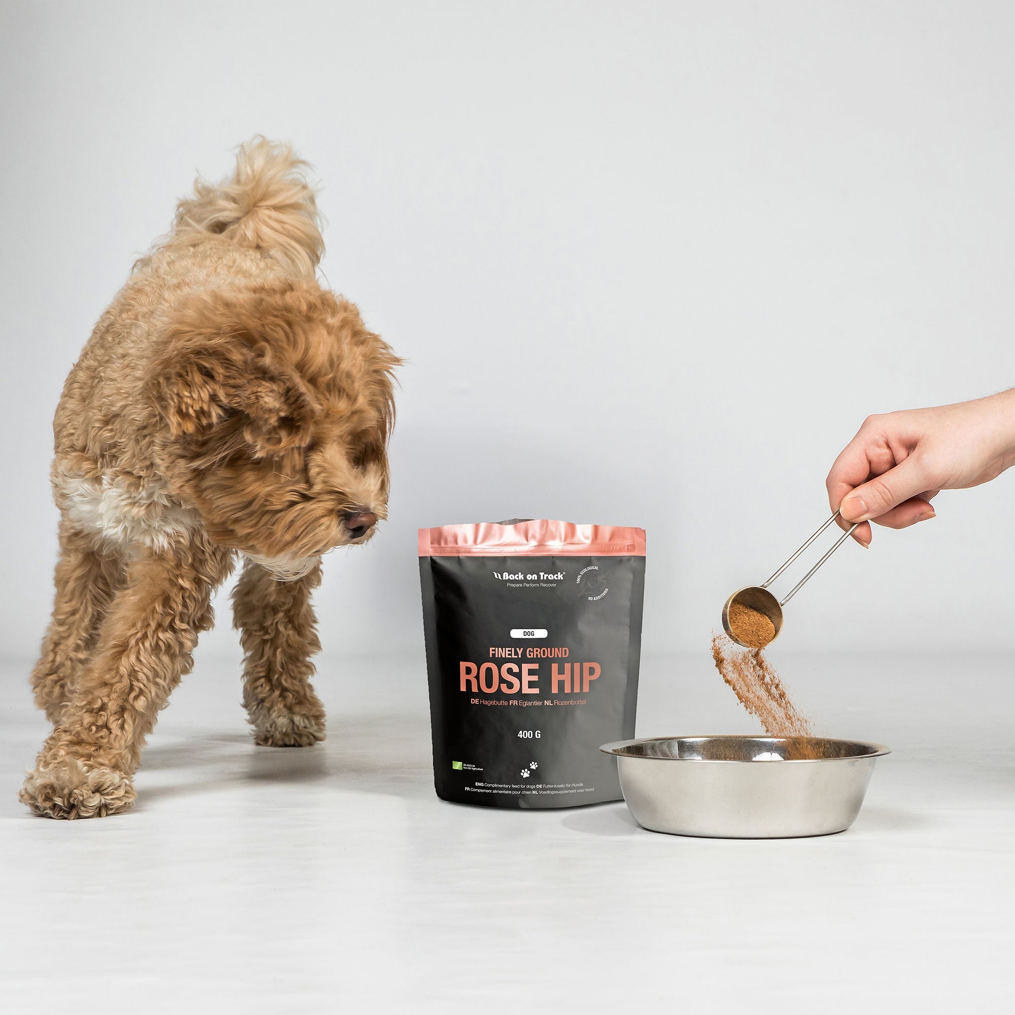 Fein Gemahlenes Hagebuttenpulver Für Hunde