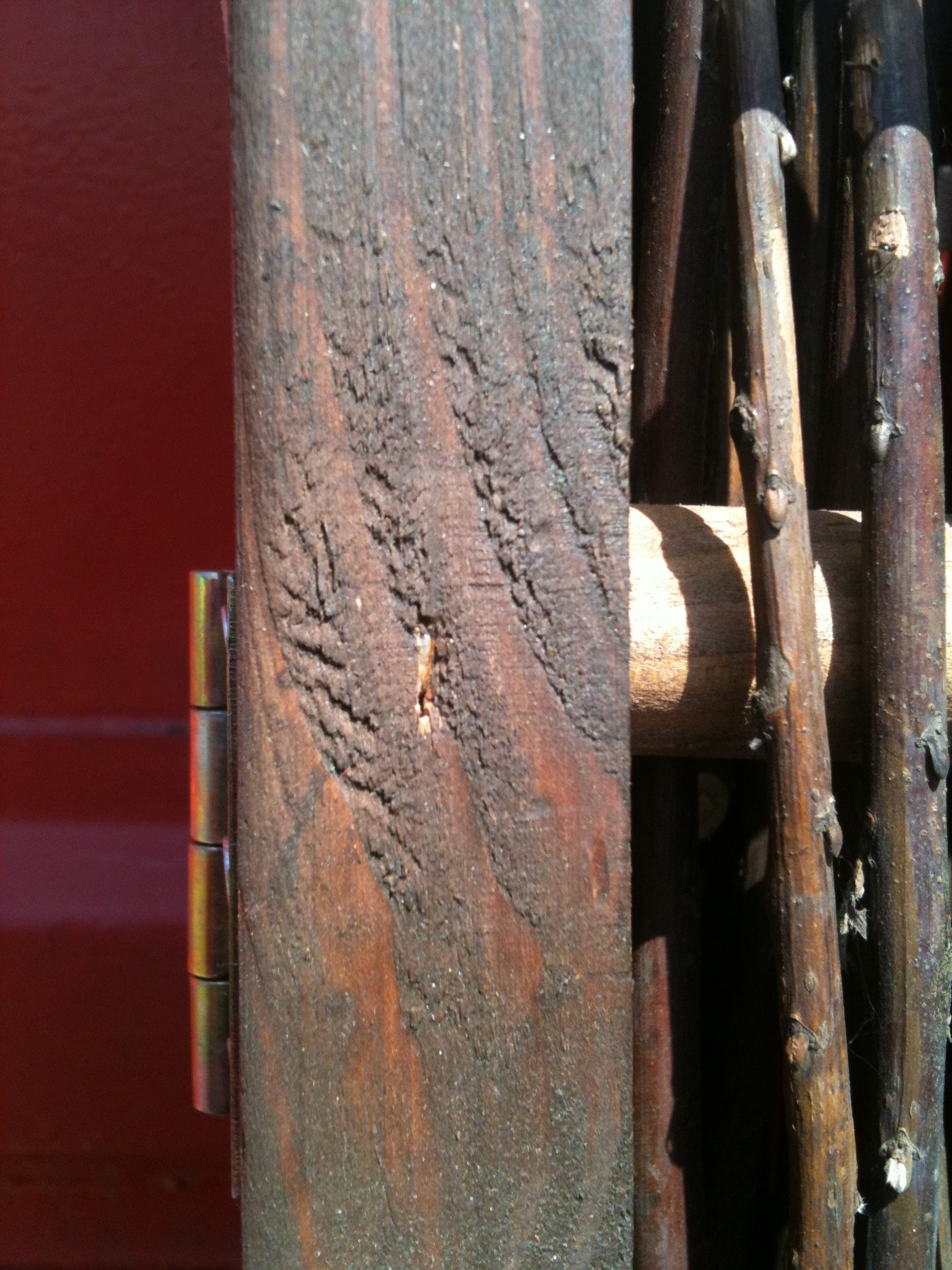 Weiden-Paravent - 3-teiliger Sichtschutz für Zuhause und Garten