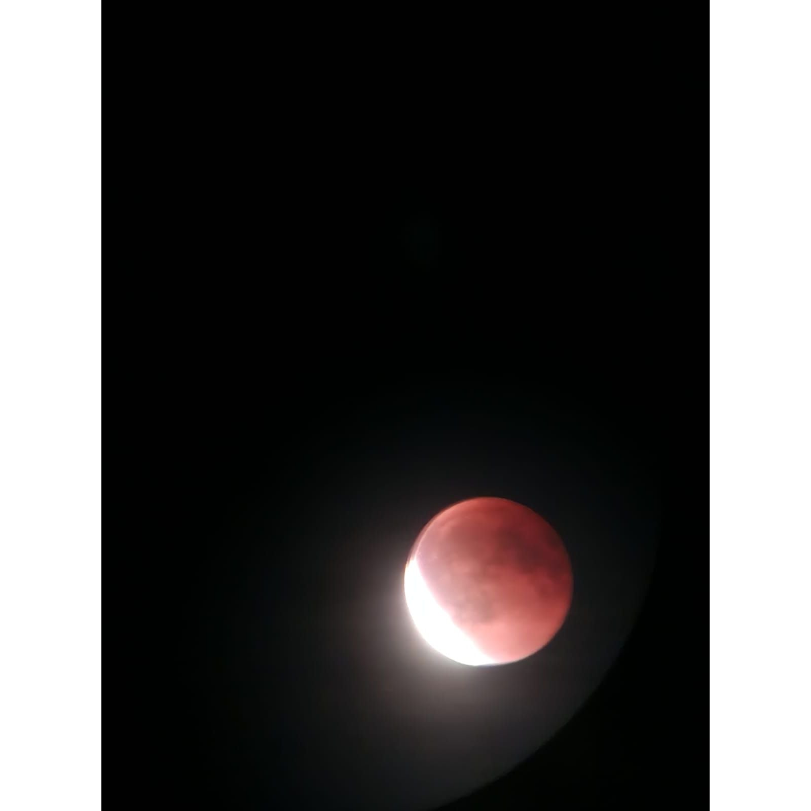 Robuste Universelle Smartphone Halterung Für Fernglas Und Mikroskop Breite 5 Bis 10 Cm