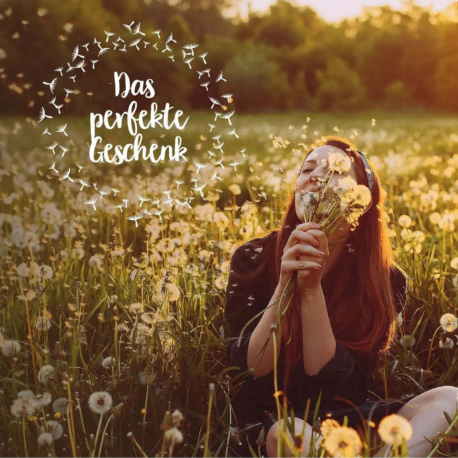 Wunscherfüller, mittel