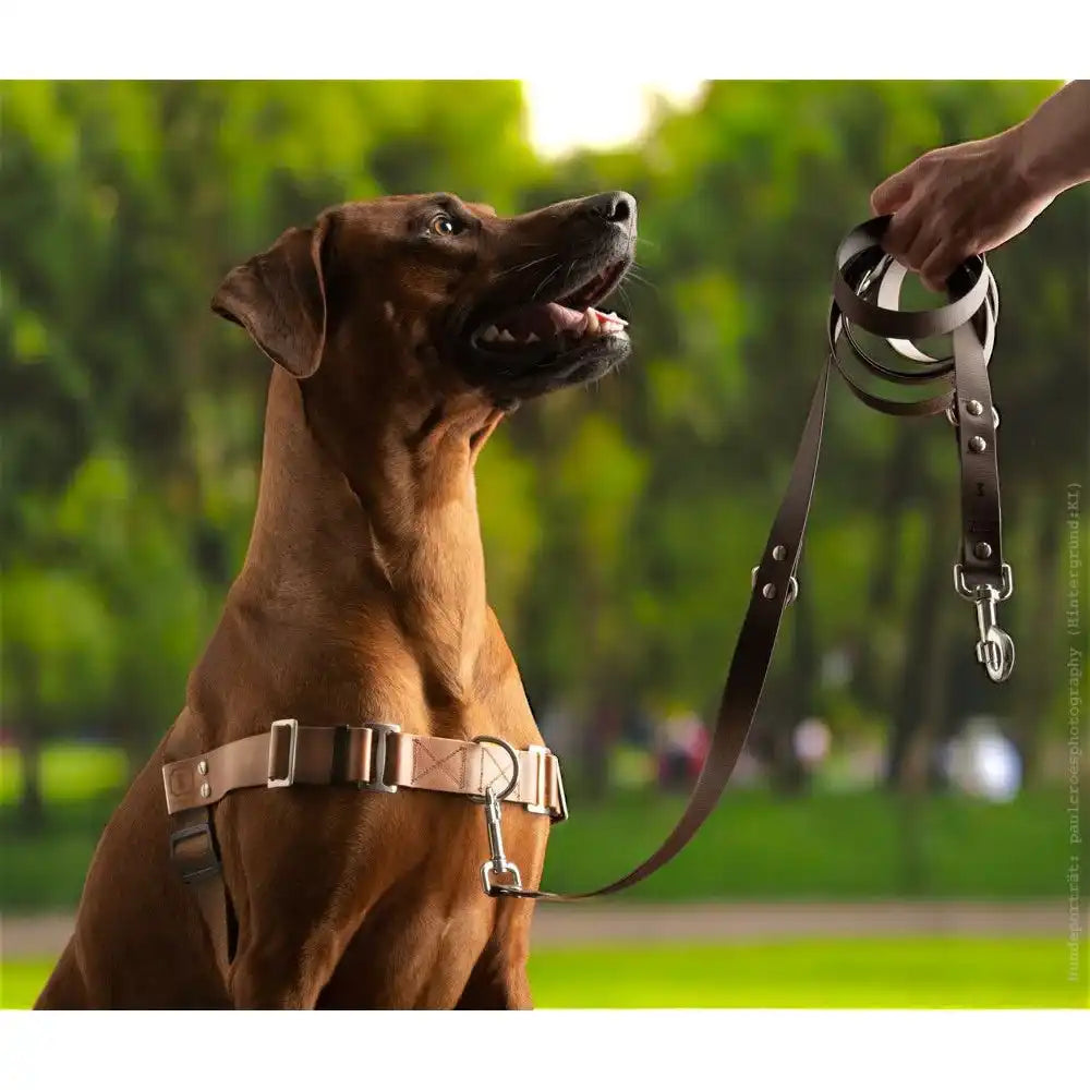 Anti-Stress-Geschirr STURMFREI®, Größe L by Der Hundegefährte