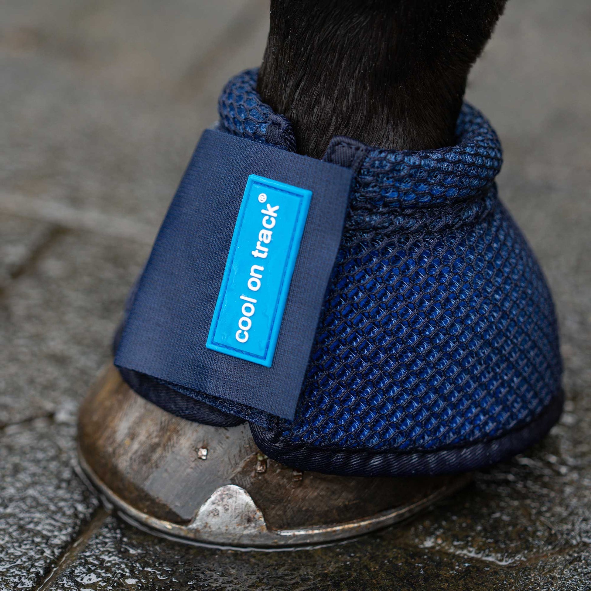 Cool on Track®️ Kühlende Hufglocken