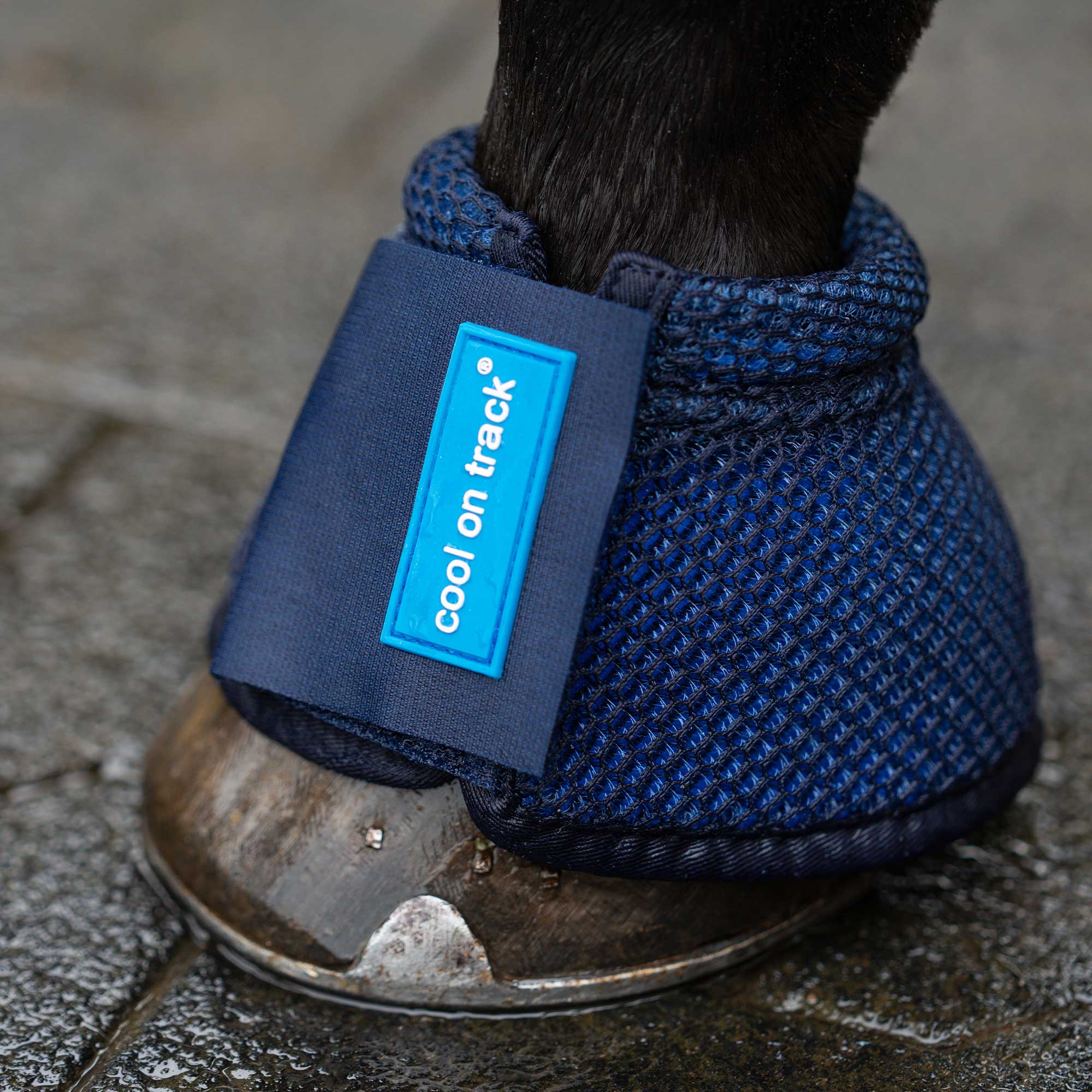 Cool on Track®️ Kühlende Hufglocken