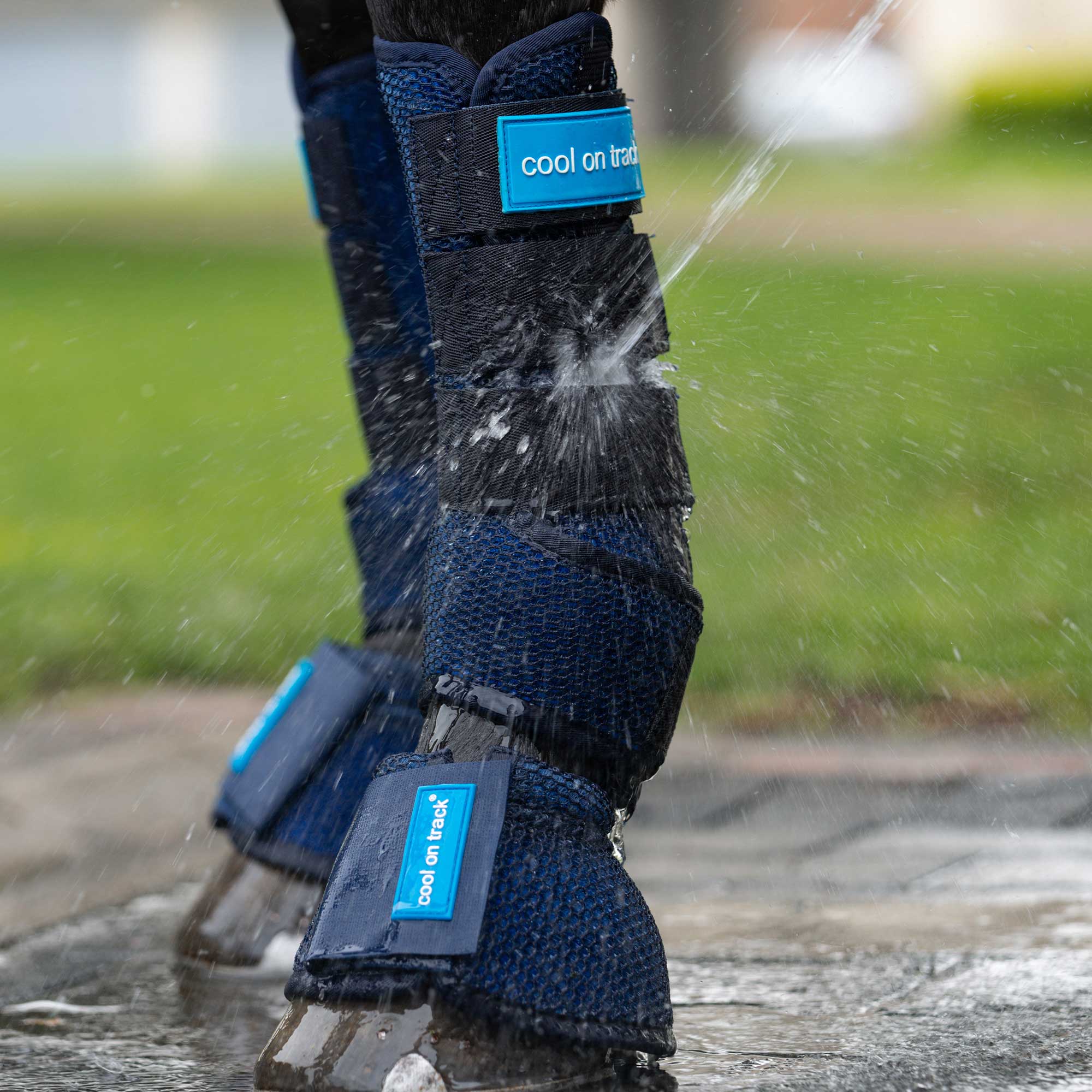 Cool on Track®️ Kühlende Hufglocken