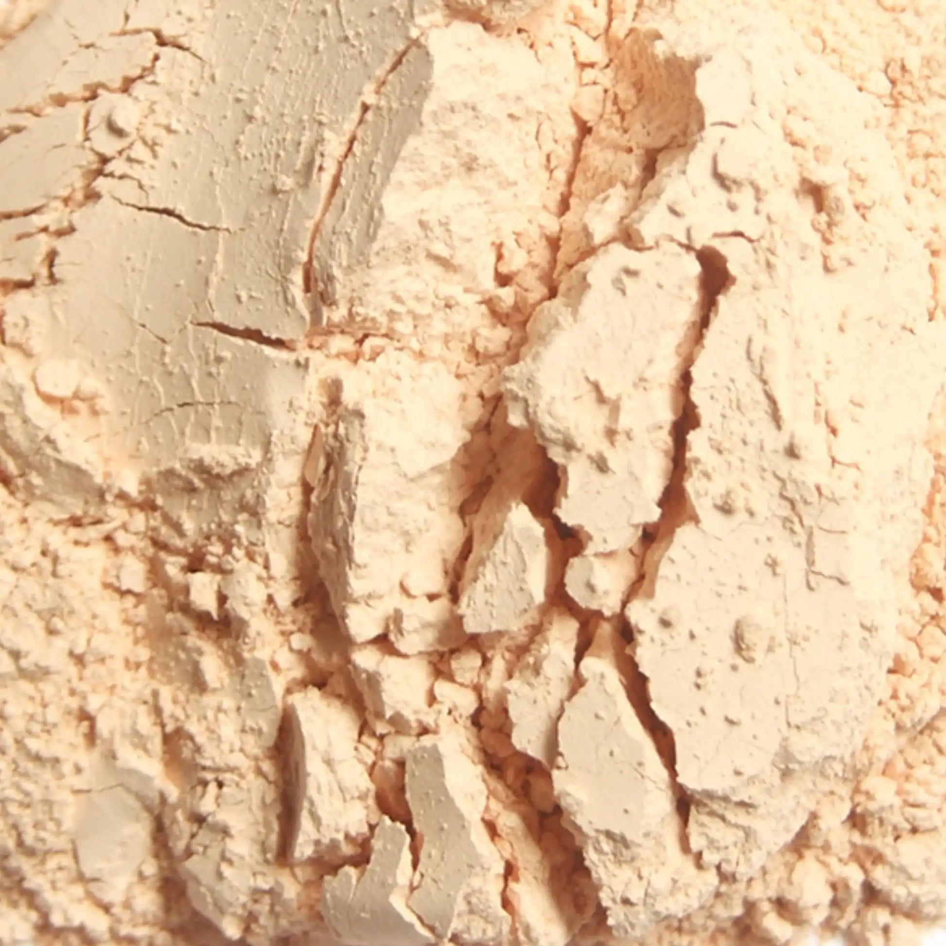 Yucca Schidigera Pulver Für Pferde 1 Kilogramm Einzelfuttermittel Zur Unterstützung Von Gelenken Verdauung Stoffwechsel by s`Queed