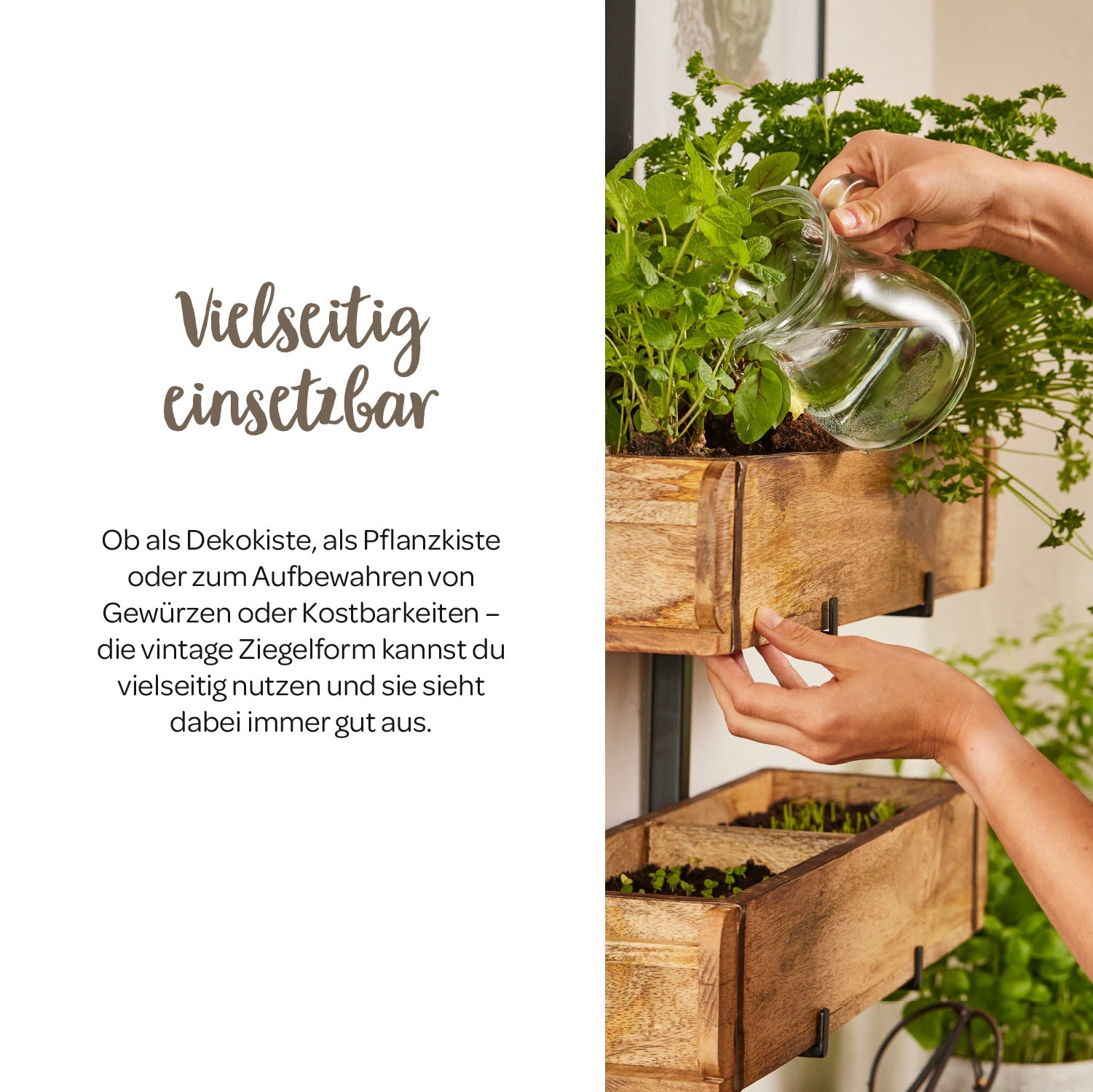 Set: 3 Ziegelformen (2 Fächer) mit Ständer