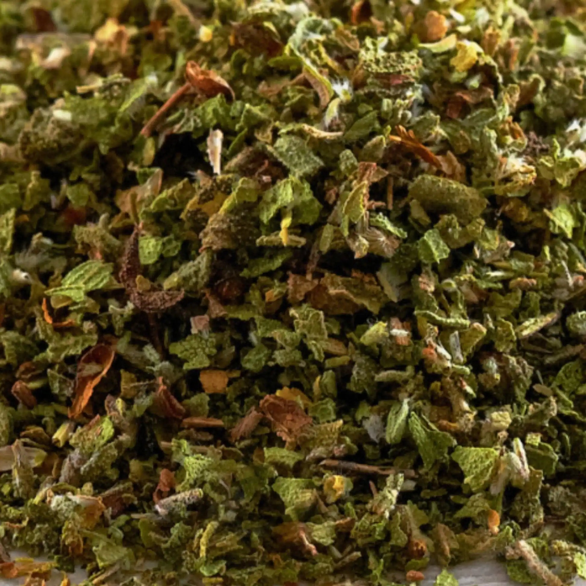 Zistrose Pferd Immunsystem Stärken Natürliche Unterstützung Bei Infektanfälligkeit Für Atemwege Und Husten by s`Queed