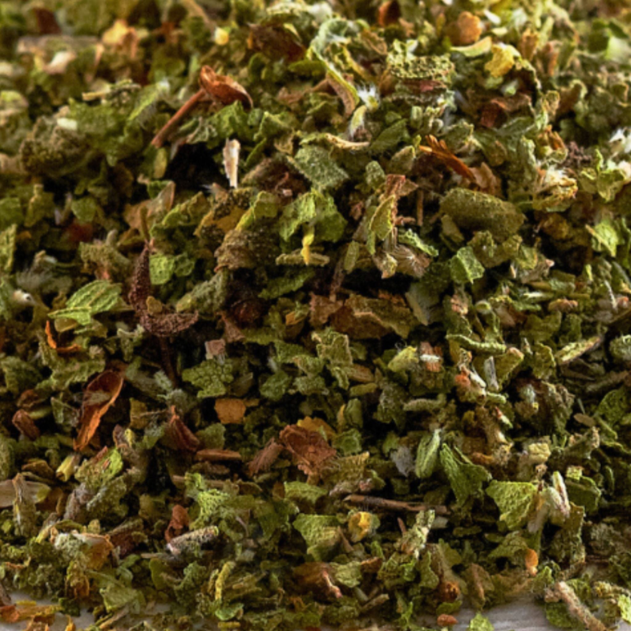 Zistrose Pferd Immunsystem Stärken Natürliche Unterstützung Bei Infektanfälligkeit Für Atemwege Und Husten