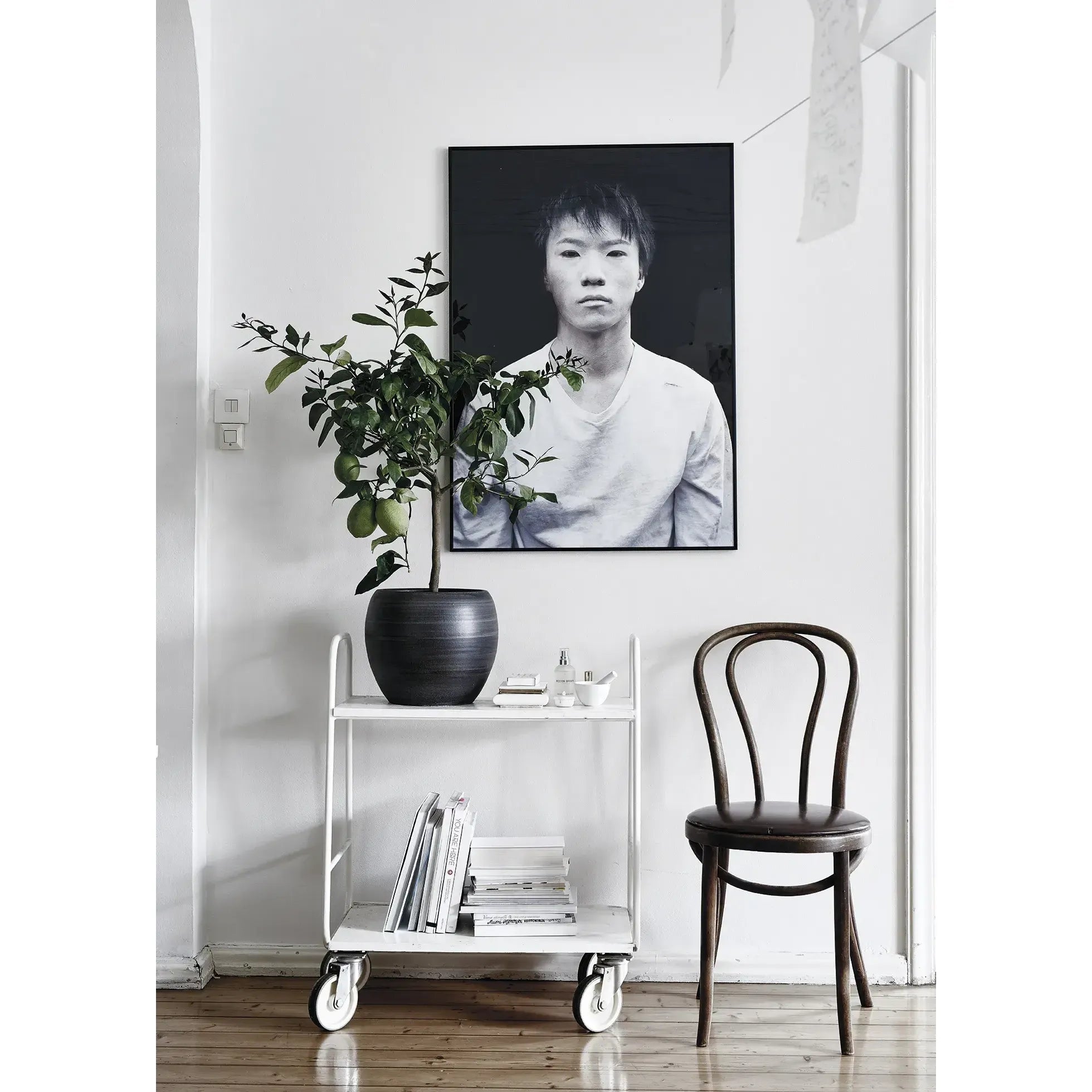 Green Home Book - Coffee Table Book - Grün Wohnen