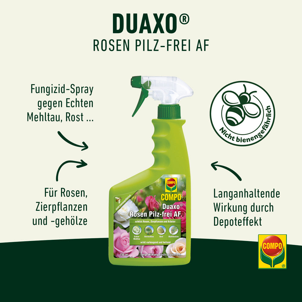COMPO Duaxo® Rosen Pilz-frei AF