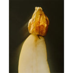 Gentle Cleansing Milk