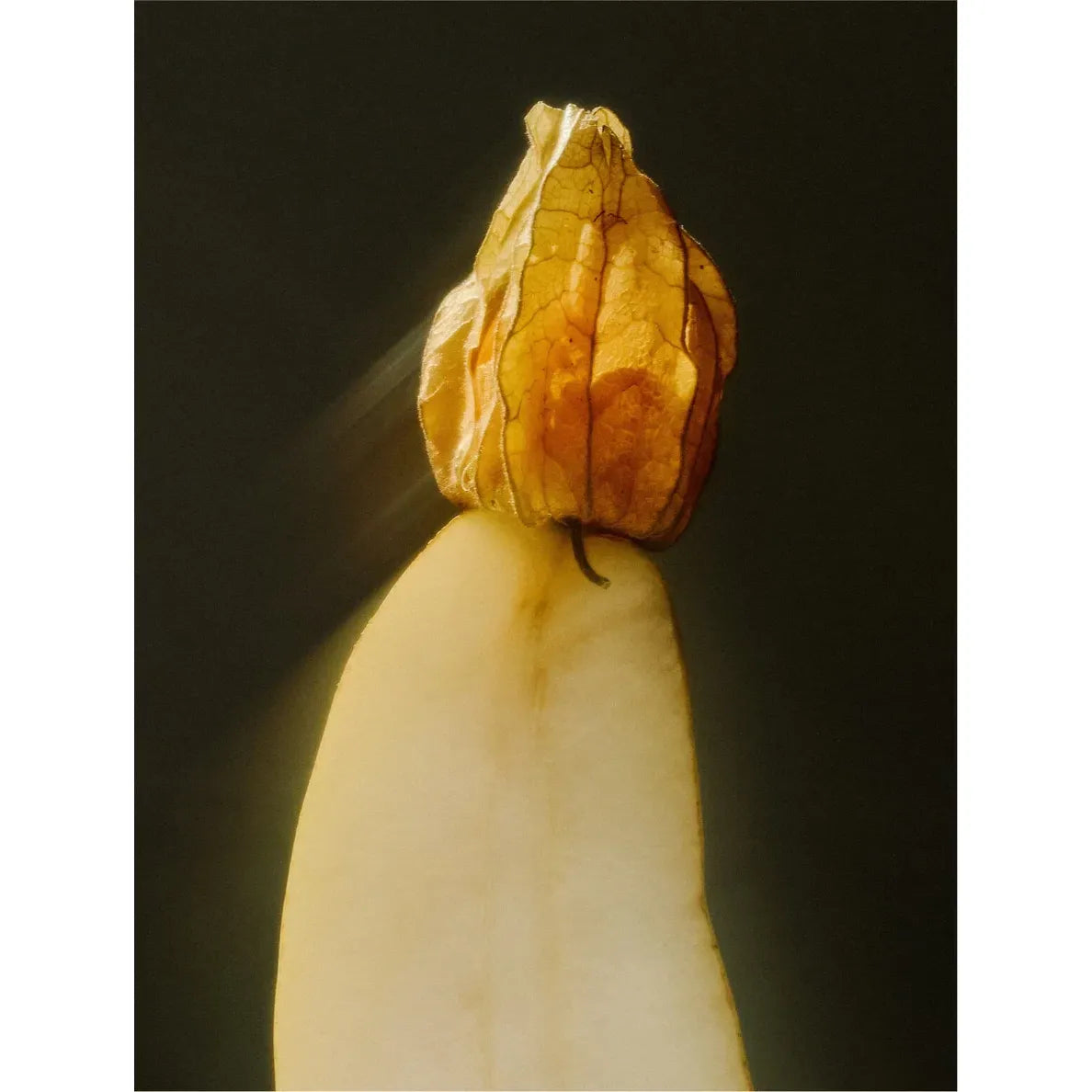 Gentle Cleansing Milk