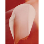 Anti-Age Day Cream (15ml)