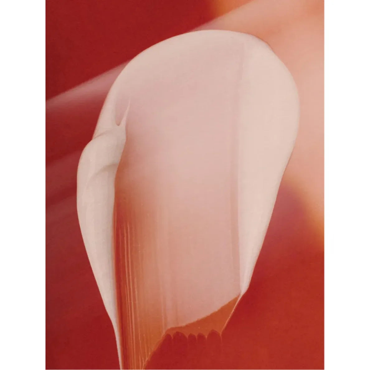 Anti-Age Day Cream (15ml)