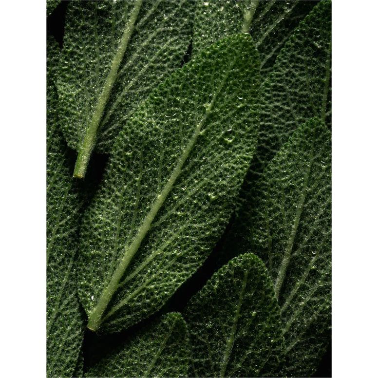 Microbiome Prebiotics Face Mist