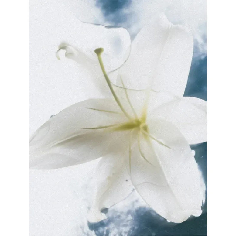 Sensitive Skin Body Cream