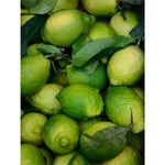 Microbiome Prebiotics Face Mist