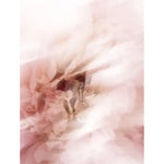 Collagen Anti-Age Night Cream