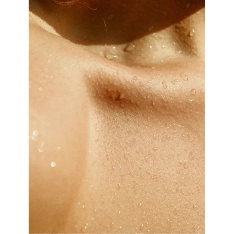 Gloss Conditioner, Smoky Green Vetiver