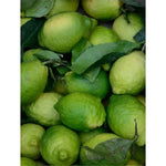 Brightening Face&Body Exfoliator with Kojic Acid