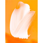 Soothing After-Sun Lotion