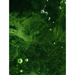 Ceramide Hydrating Night Cream