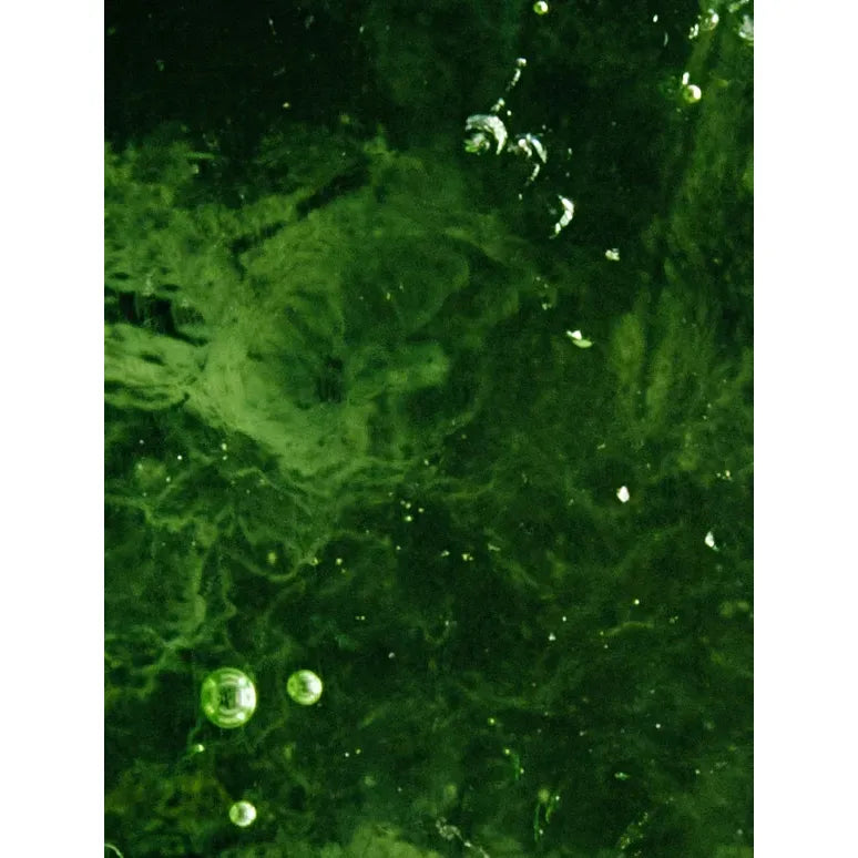 Ceramide Hydrating Night Cream