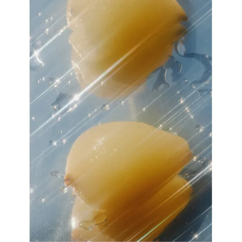 Fresh Conditioner Citrus Cocktail – Glanz & Pflege