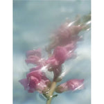 Collagen-Boost-Serum