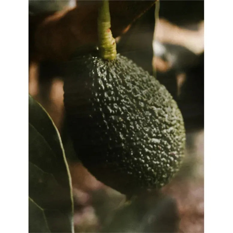 Nourishing Facial Oil