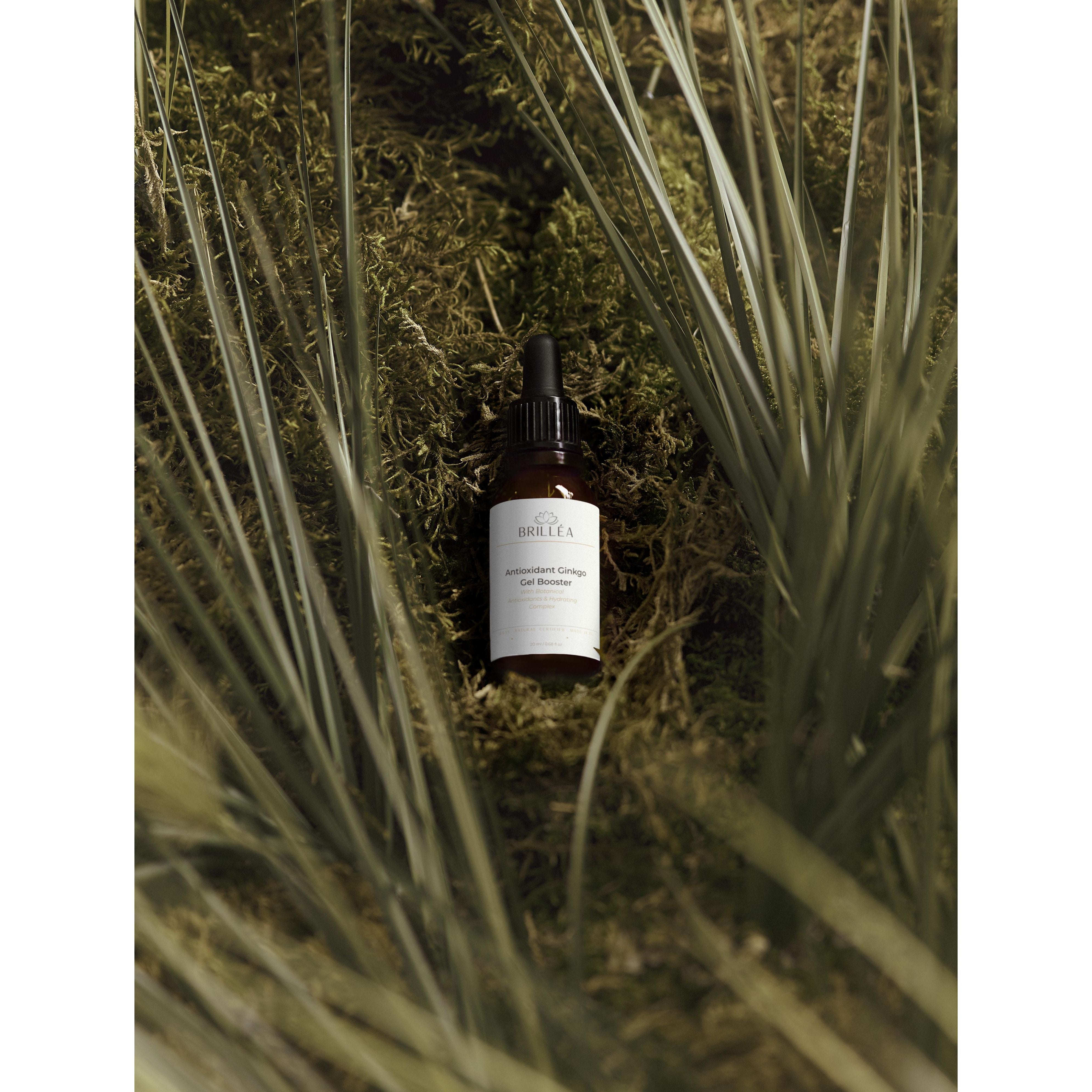 Antioxidant Ginkgo Gel Booster - 20ml