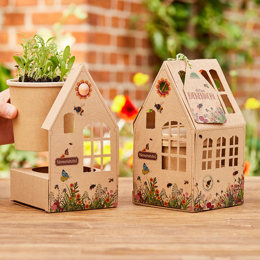 Gewächshäuschen "Bieneninsel"