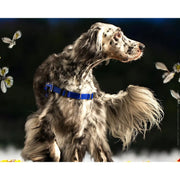 Anti-Stress-Geschirr STURMFREI®, Größe L by Der Hundegefährte