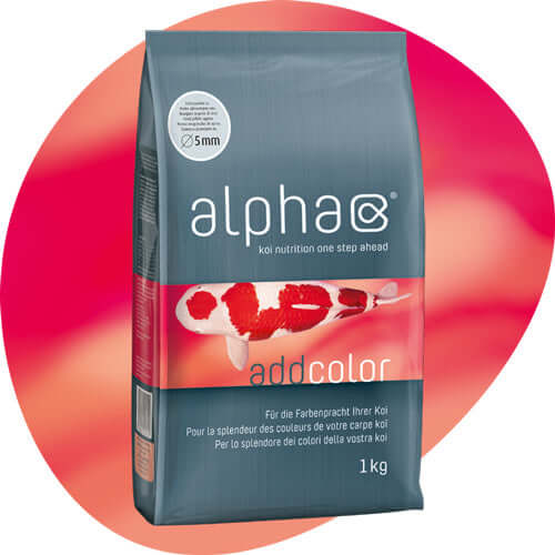 KENJI KOI Alpha Color Farbfutter Koifutter