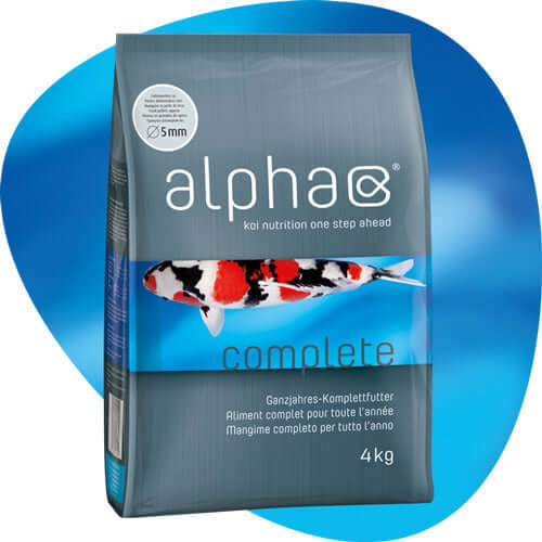 KENJI KOI Alpha Complete Koifutter schwimmend