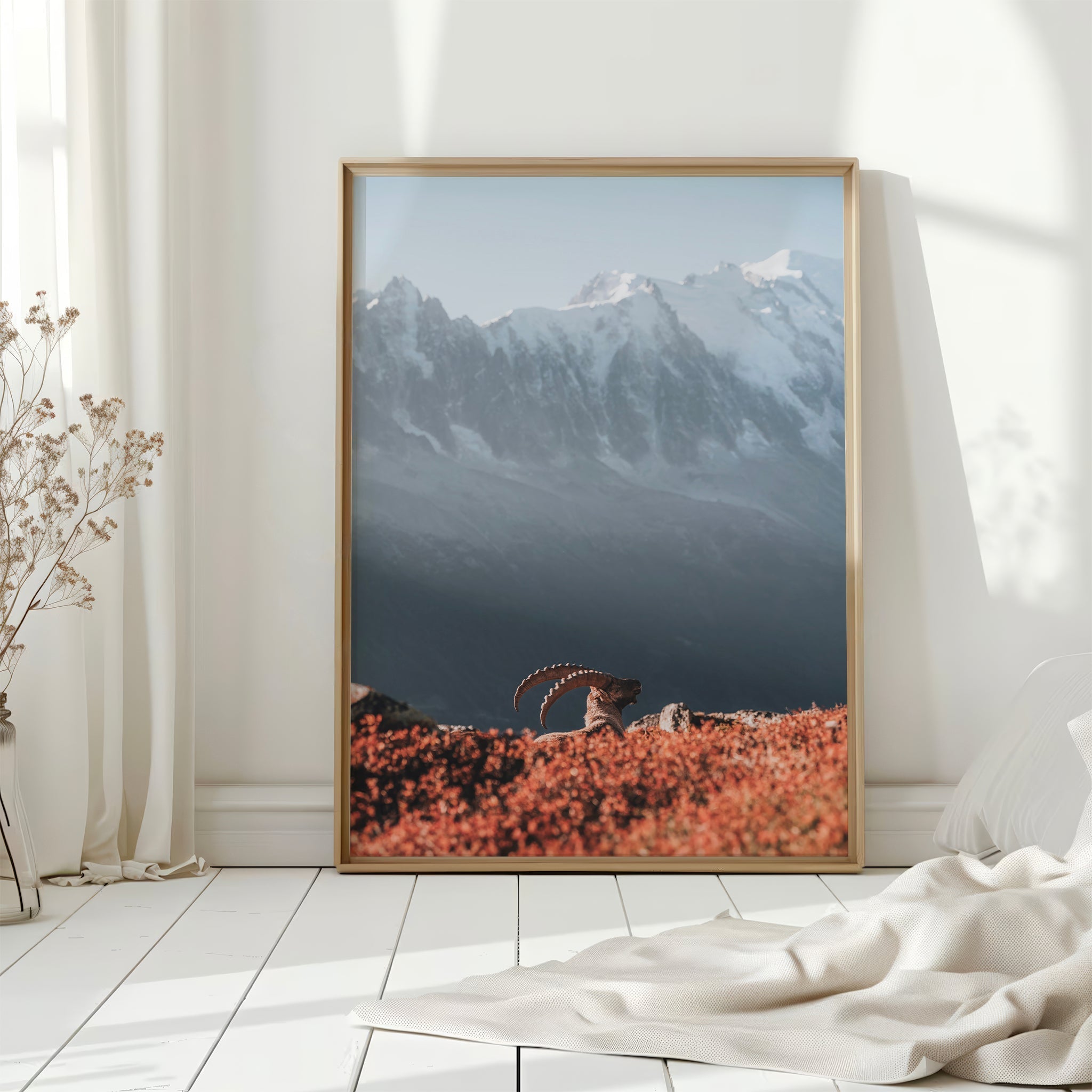 Ibex at Sunrise Print – Chamonix Wildlife and Mont Blanc Wall Art