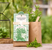 Anzuchtset – Minigarten Cocktail Minze
