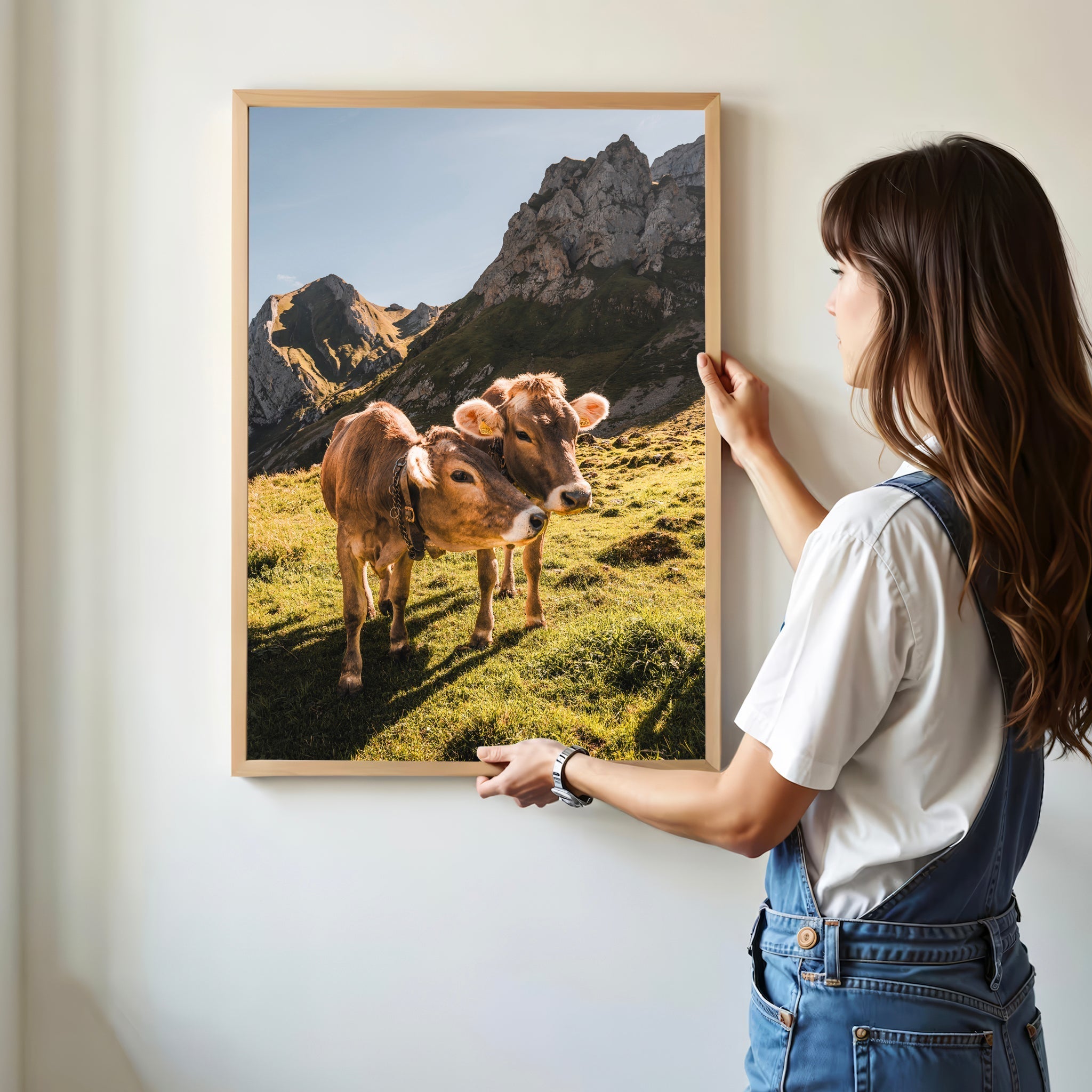 Alpine Cows, Appenzell, Switzerland