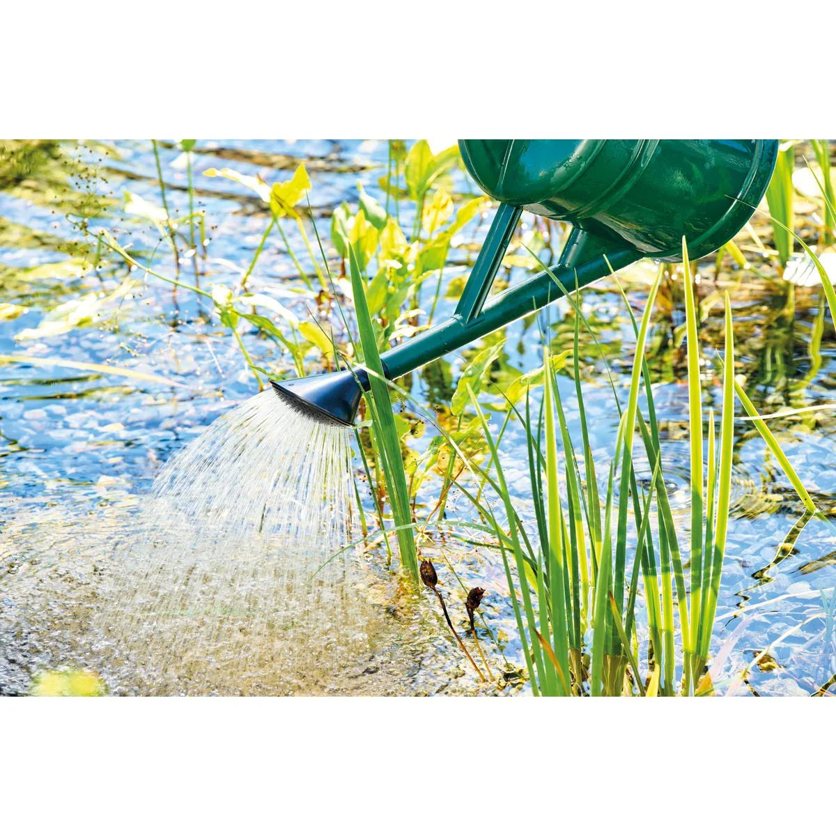 AquaActiv AlGo Greenaway 500 ml - Japankoi.net